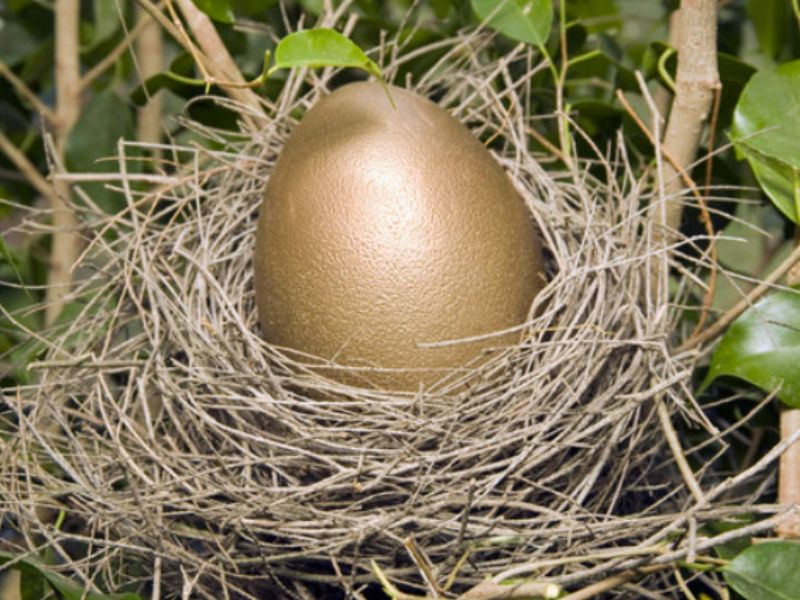 オーストラリア人が飛べない巨大な鳥の巨大な卵を初めて食べたことを示す古代のタンパク質