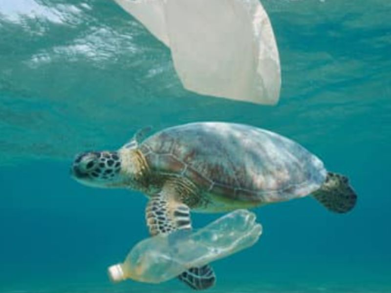 プラスチックの海への流入は2040年までに3倍になると予想されているが、行動は80%以上の潮汐を防ぐ可能性がある