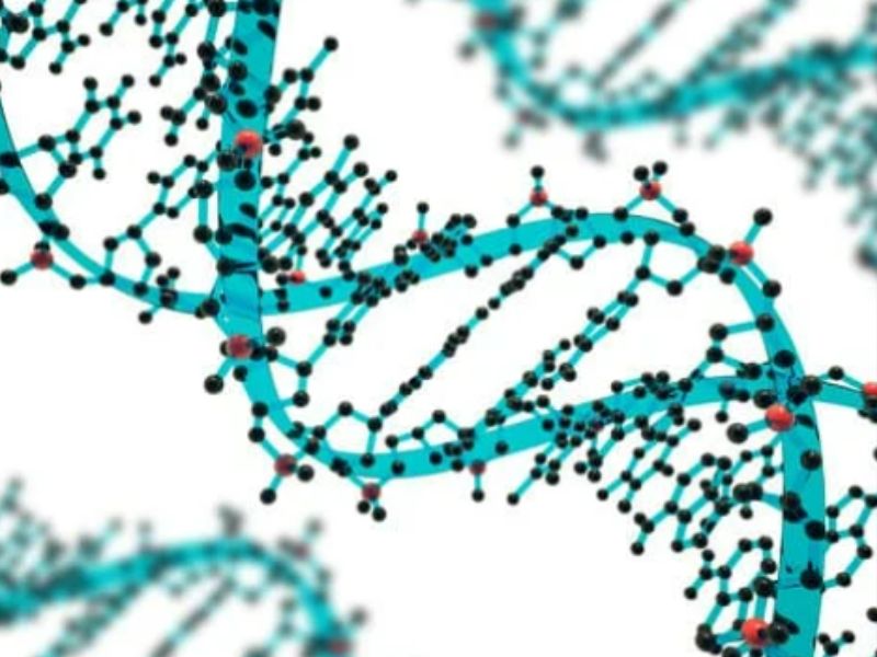 CRISPRの次は:大衆のための遺伝子編集？