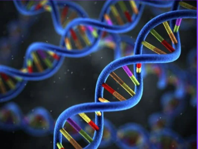 古代DNA分析:10BreakthroughTechnologies2023。
